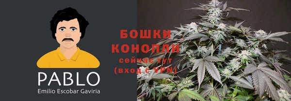 молекула духа Балабаново