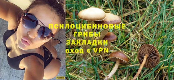 молекула духа Балабаново